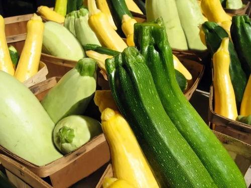 粤海吃瓜,揭秘美食背后的故事与传奇