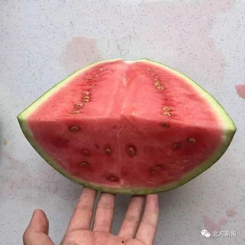 怎样吃瓜没有籽,告别籽粒烦恼