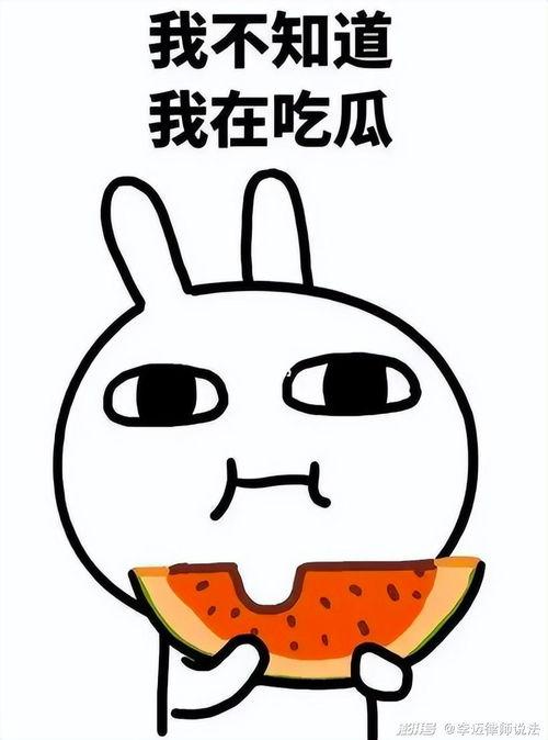 霸宠吃瓜,揭秘娱乐圈背后的甜蜜与酸辣