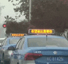 汤圆酱吃瓜GIF,趣味横生的瞬间捕捉